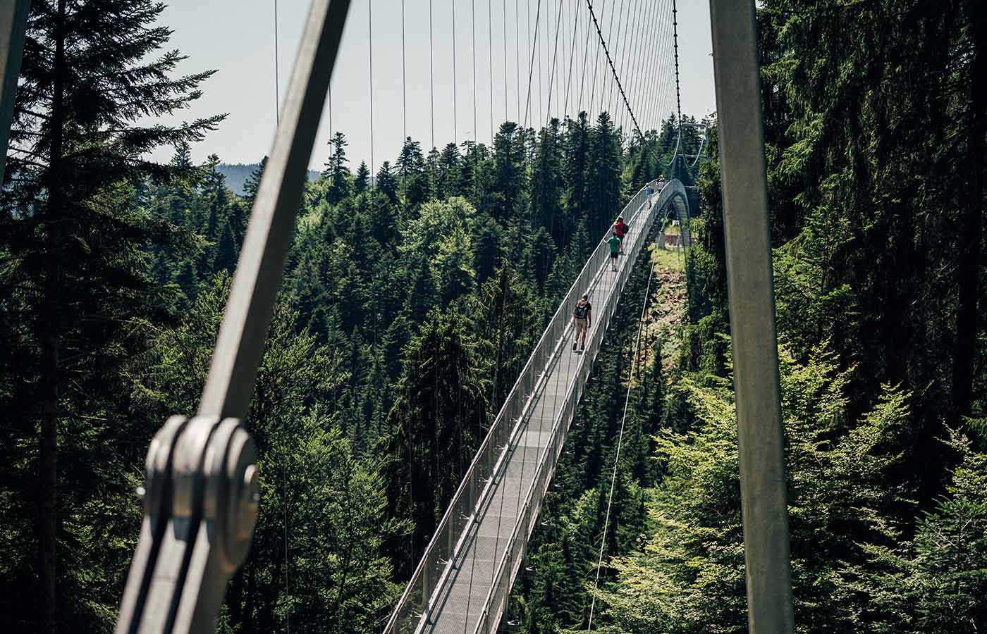 Erlebnis Gruppen Paket BLACKFORESTLINE Hängebrücke Brücke im Sommer