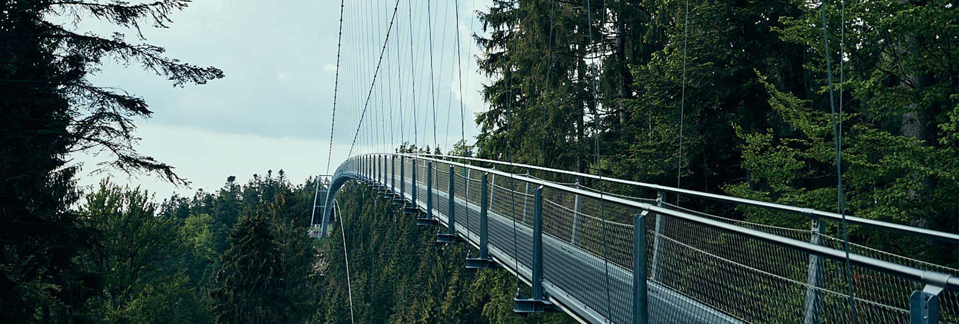 Ansicht BLACKFORESTLINE Hängebrücke von unten Aussicht Schwarzwald