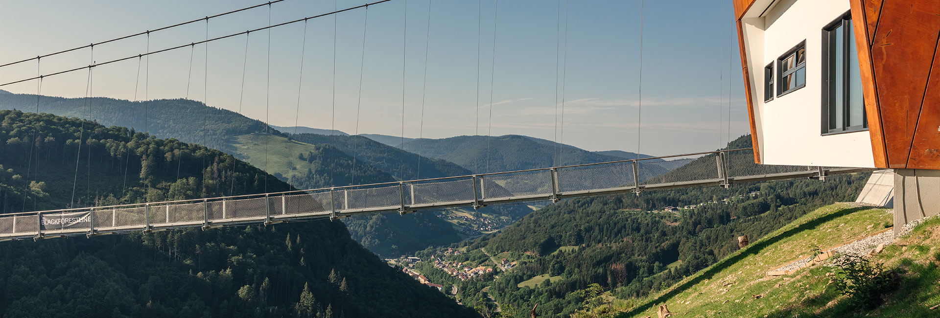 Photo du pont suspendu BLACKFORESTLINE en automne