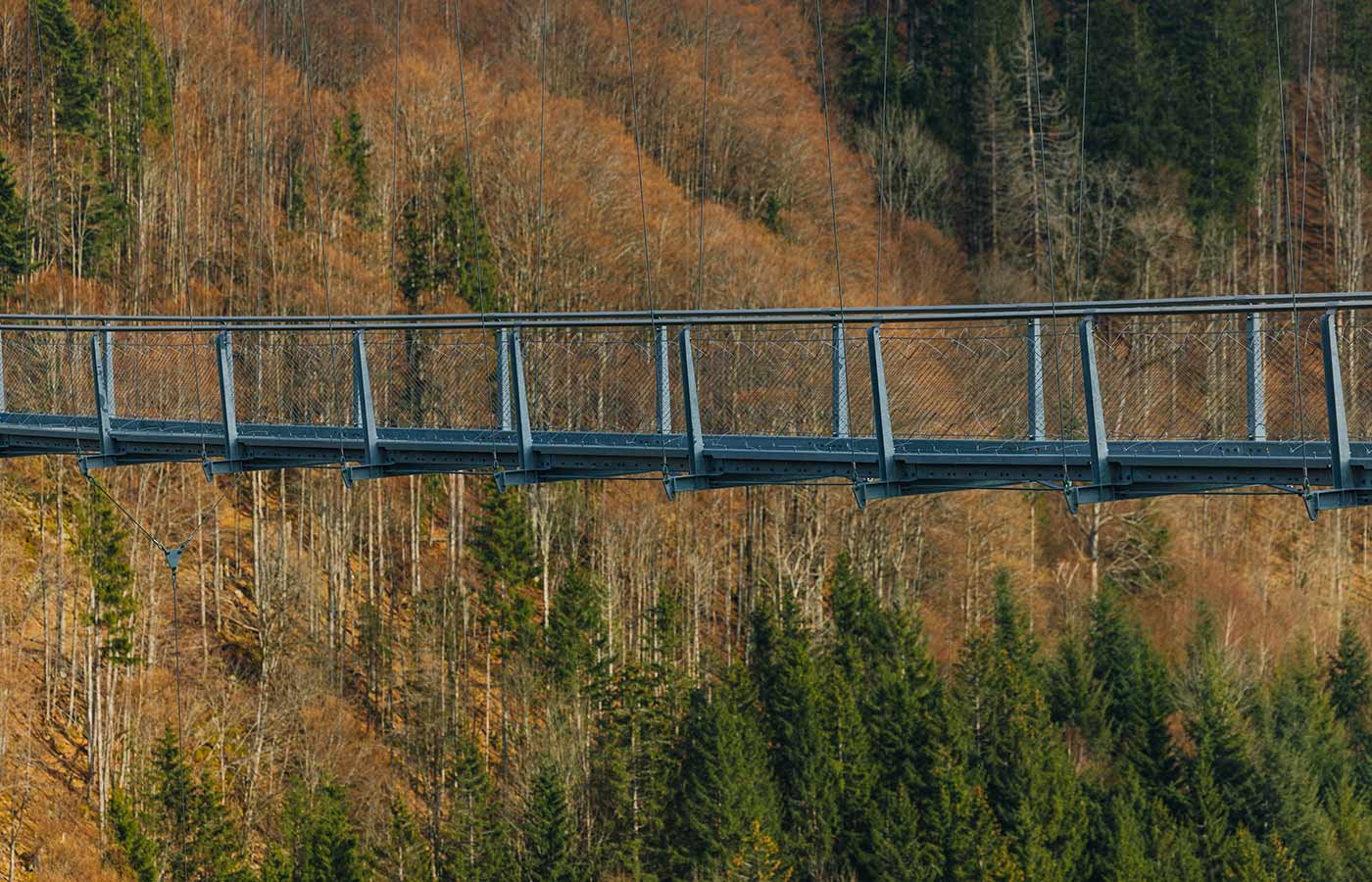 Photograph of the BLACKFORESTLINE suspension bridge in autumn
