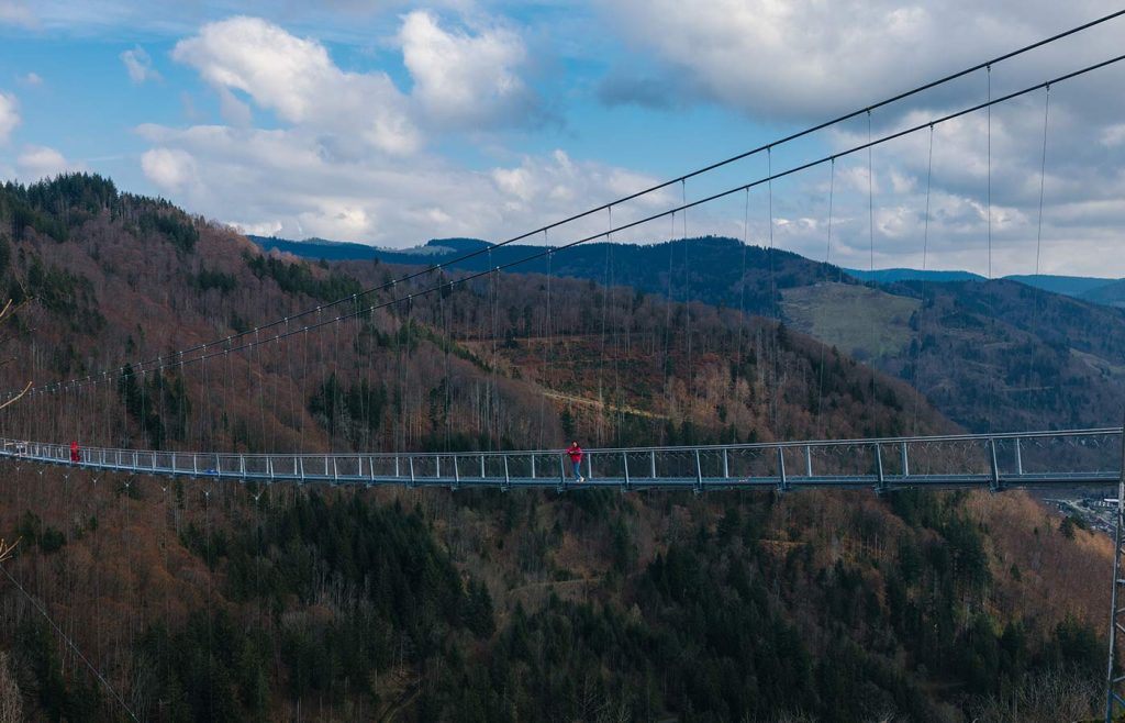 Photograph of the BLACKFORESTLINE with a view of the Todtnau landscape