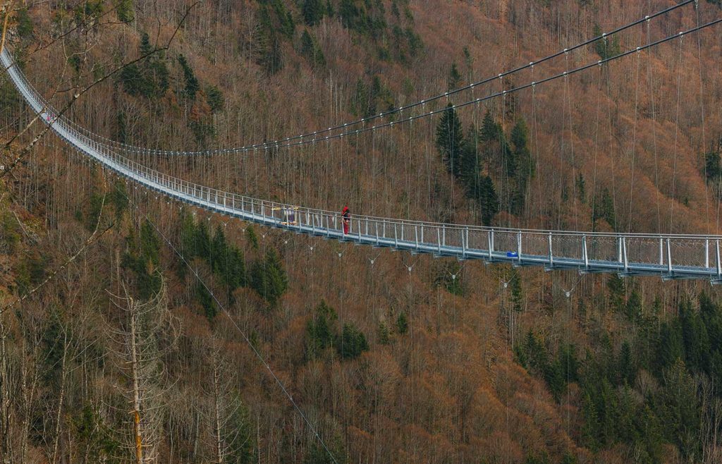 Aufnahme der BLACKFORESTLINE Hängebrücke mit Blick auf Schwarzwaldtannen