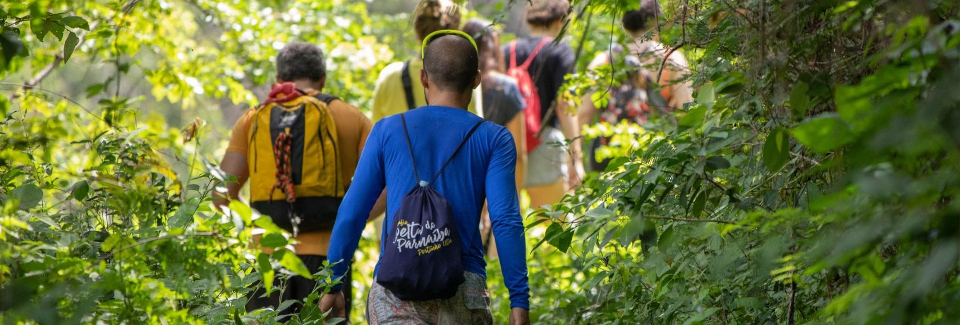 Eine Gruppe von Menschen wandert durch einen Wald