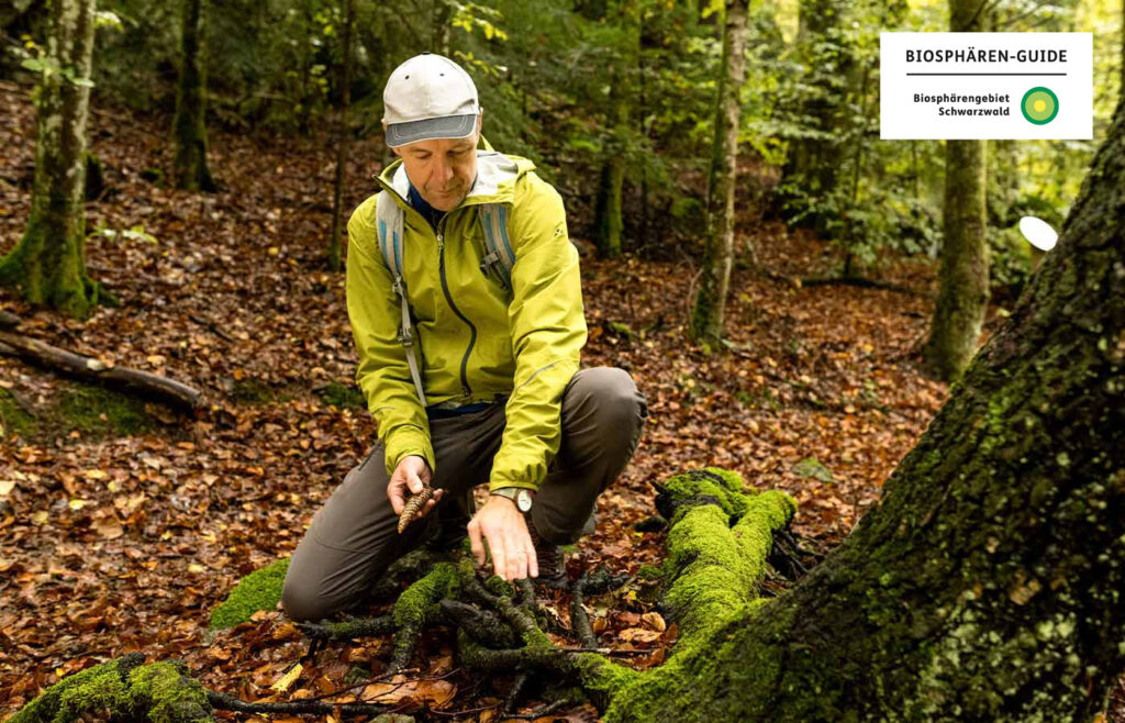 Ein Tour Guide sitzt im Wald an einer Wurzel und hält ein Zapfen in der Hand
