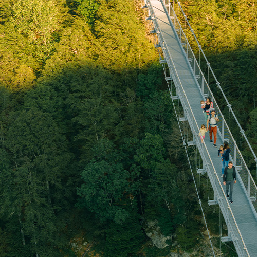 Wald von oben mit Lichtstreifen und Brücke