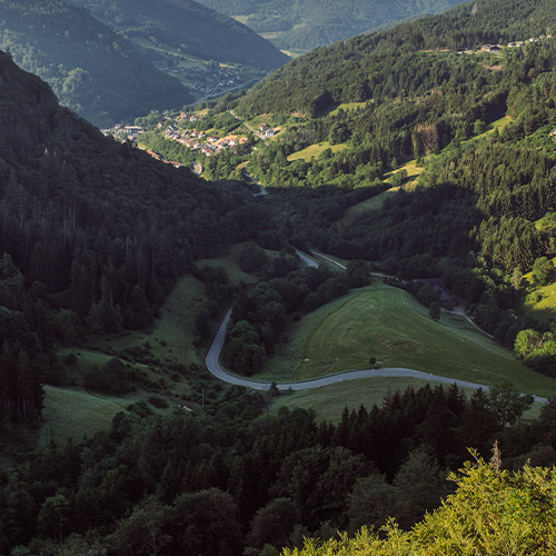 Panoramablick über Wälder und Täler